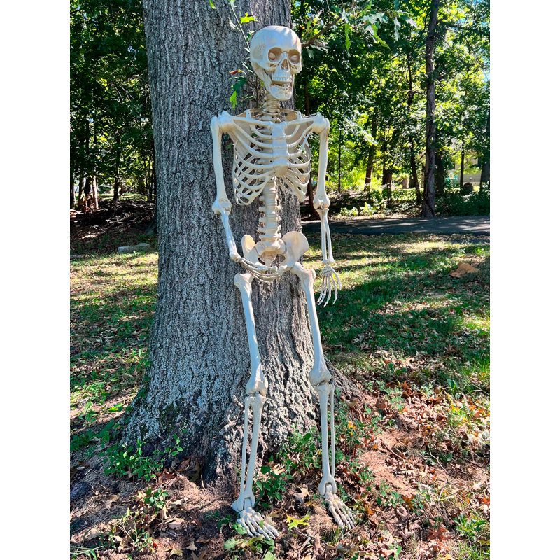 Posable skeleton discount
